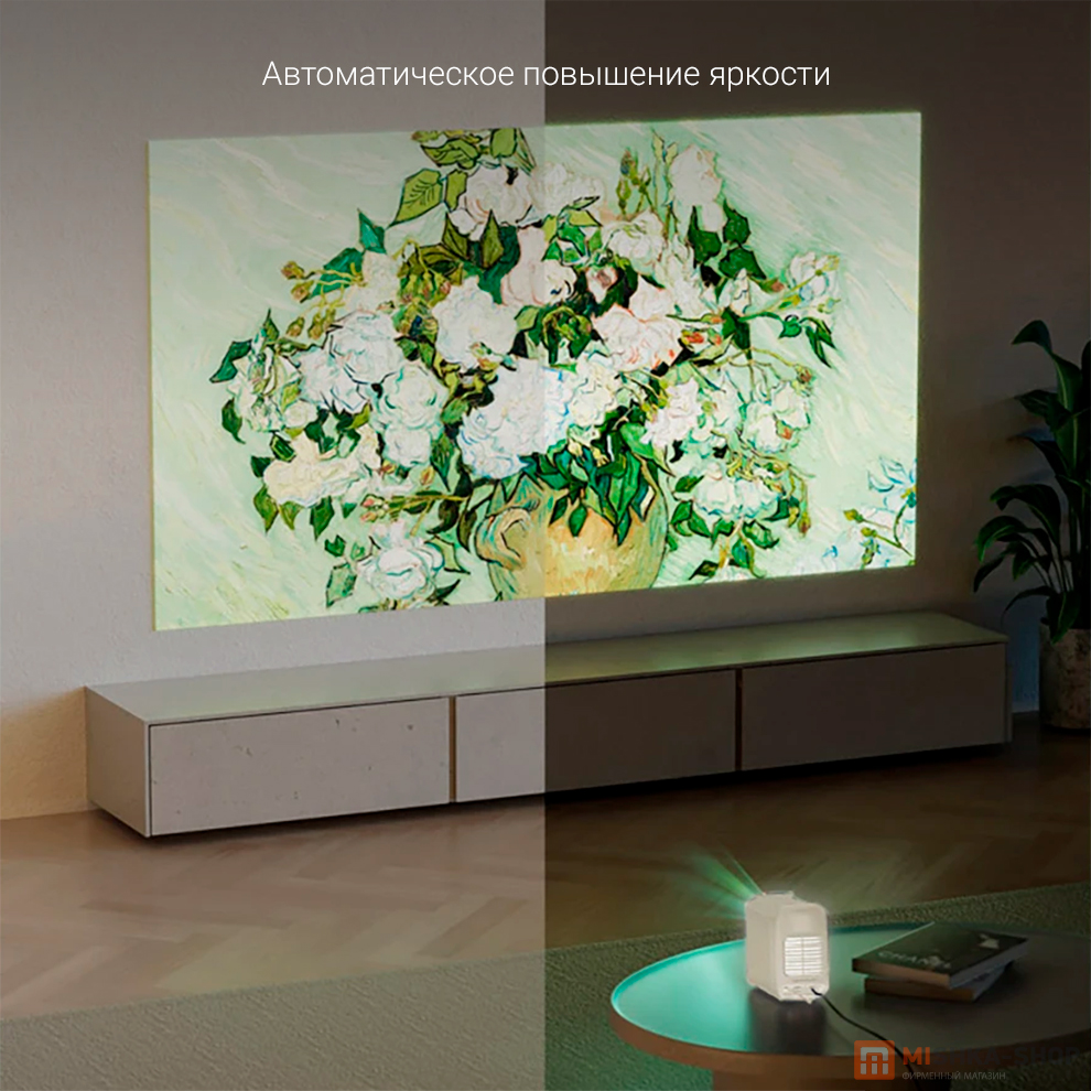 Zeemr M1 Pro
